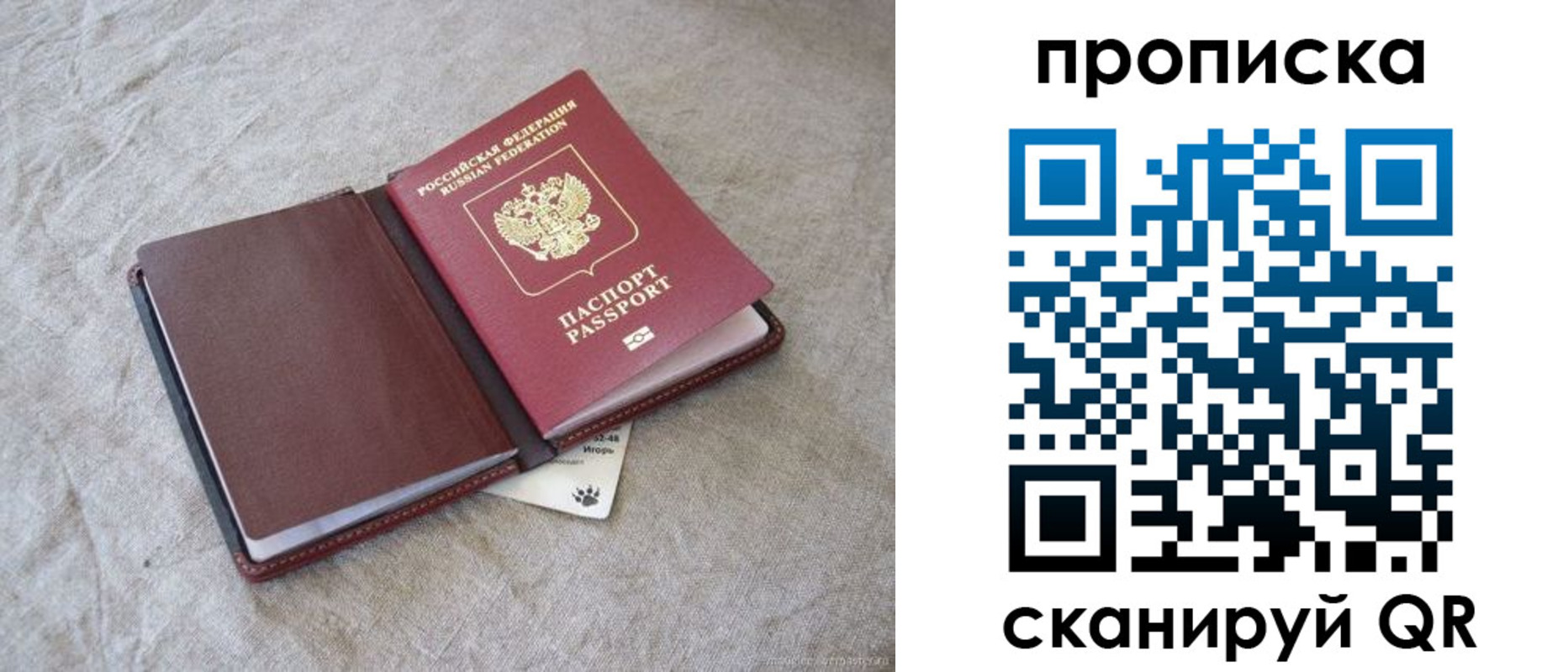 найти адрес прописки в Домодедово